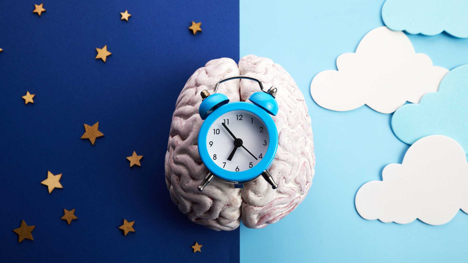 On vous dit tout sur la chronobiologie et ses impacts sur le métabolisme et lesommeil