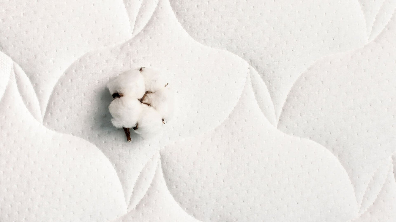 Oreiller CERVICAL blanc en coton