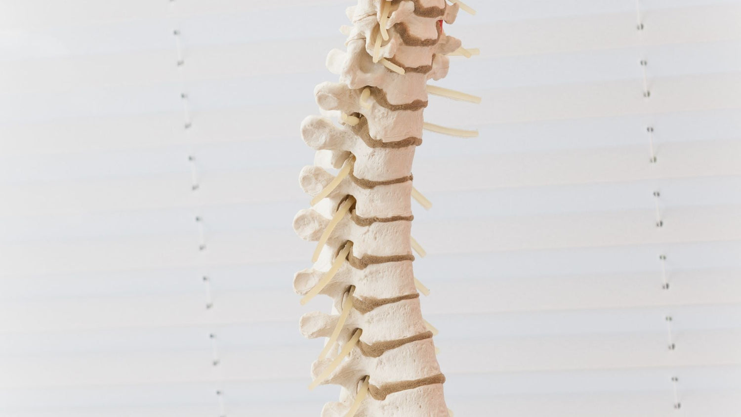 Qu’est-ce qu’un spondylolisthésis et comment la soulager ?