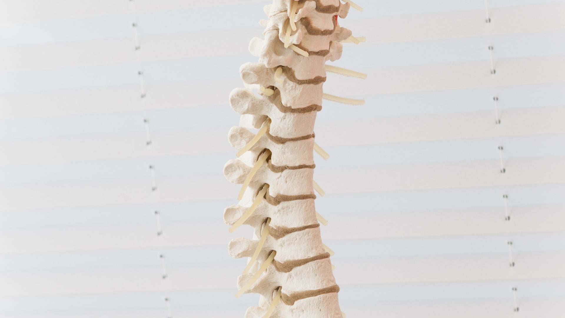 Qu’est-ce qu’un spondylolisthésis et comment la soulager ?