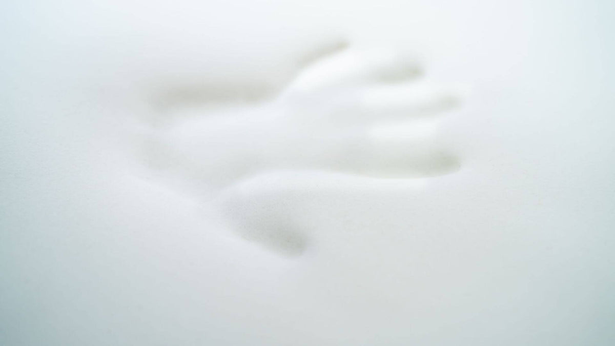 Avis sur les oreillers à mémoire de forme : qu’est-ce que ça vaut ? | Mon oreiller et moi