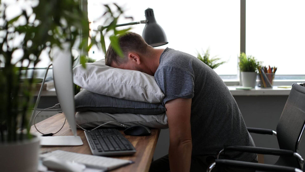 Oreiller sieste bureau : comment le choisir ?