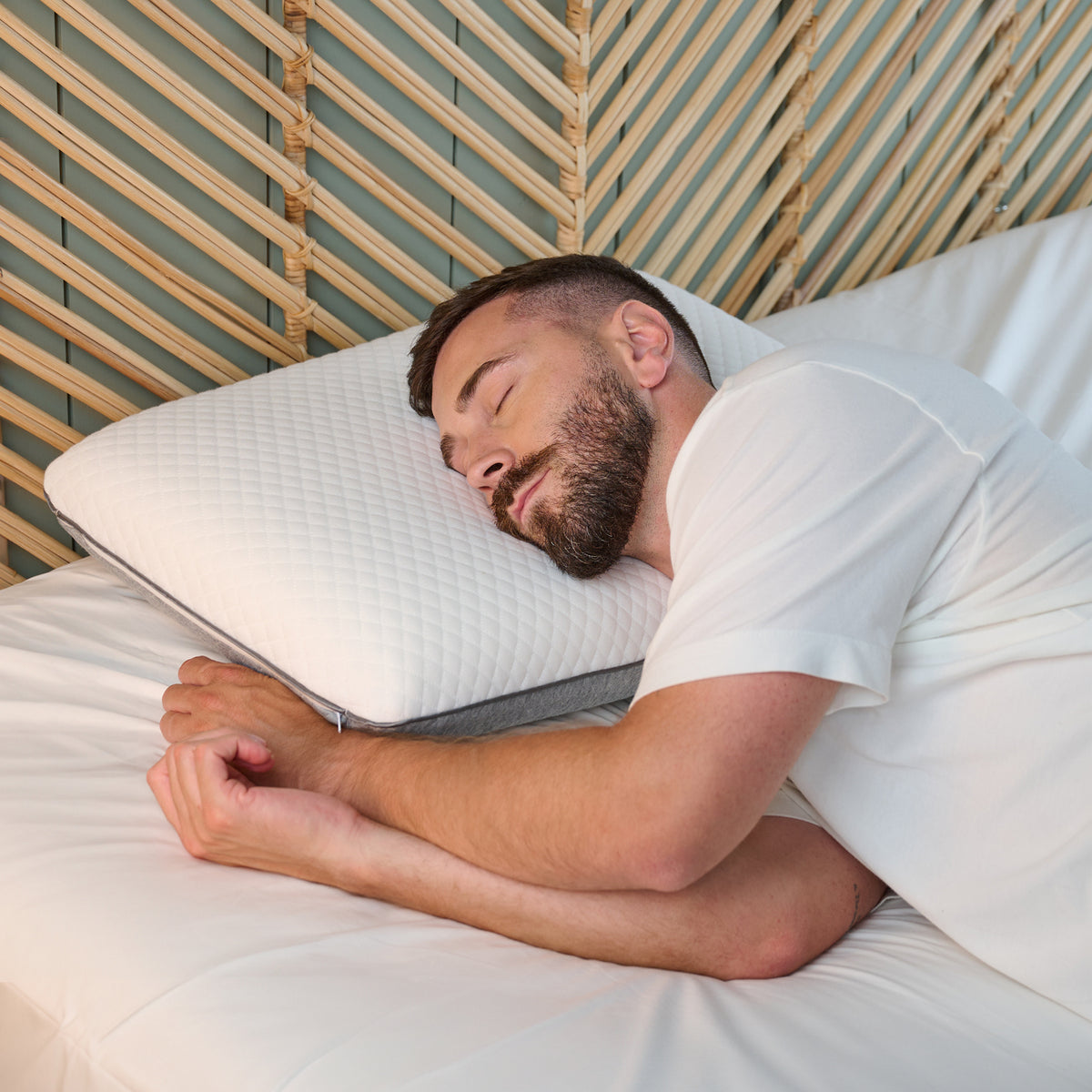 Pack Oreiller Morphée et taie percale